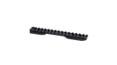 Rail Picatinny Savage Short + 20 MOA