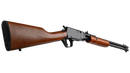 Carabine a pompe .22LR Par Rossi