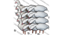 Appelants Oies Blanches de SkyFall Decoys (Paq. de 12)