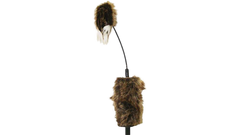 Appelant Mojo Critter