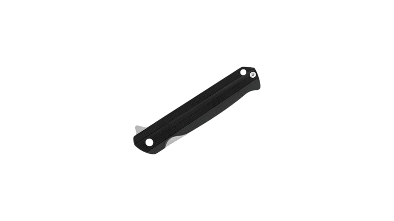 Couteau Langford 251 noir de Buck Knives