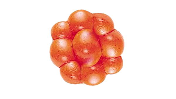 Leurre Powerbait Egg Cluster par Berkley