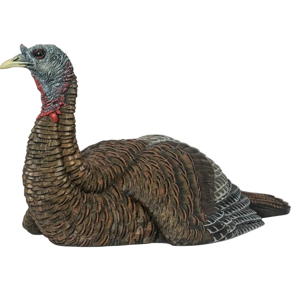 Appelant De Dindon "LCD Laydown Hen" Par Avian-X
