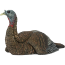 Appelant De Dindon "LCD Laydown Hen" Par Avian-X