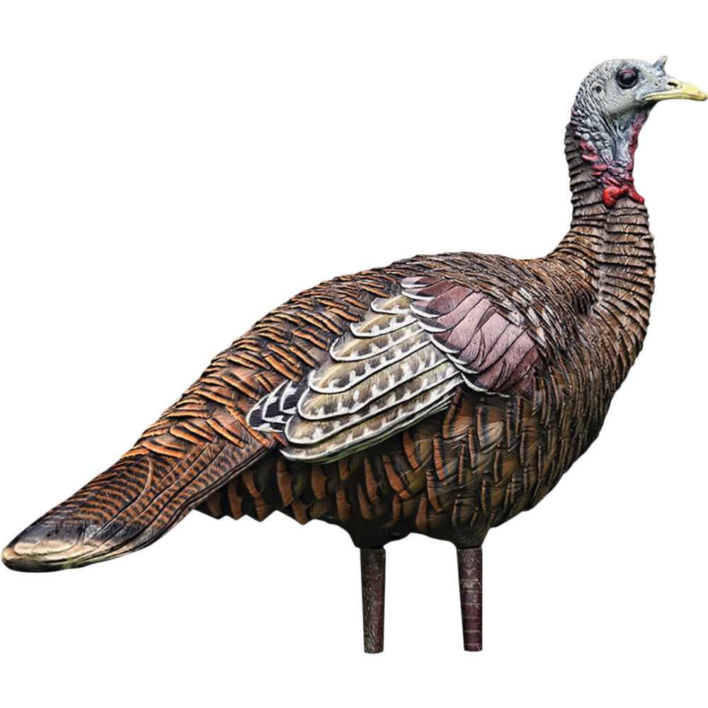 Appelant De Dindon  "LCD Lookout Hen" Par Avian-X