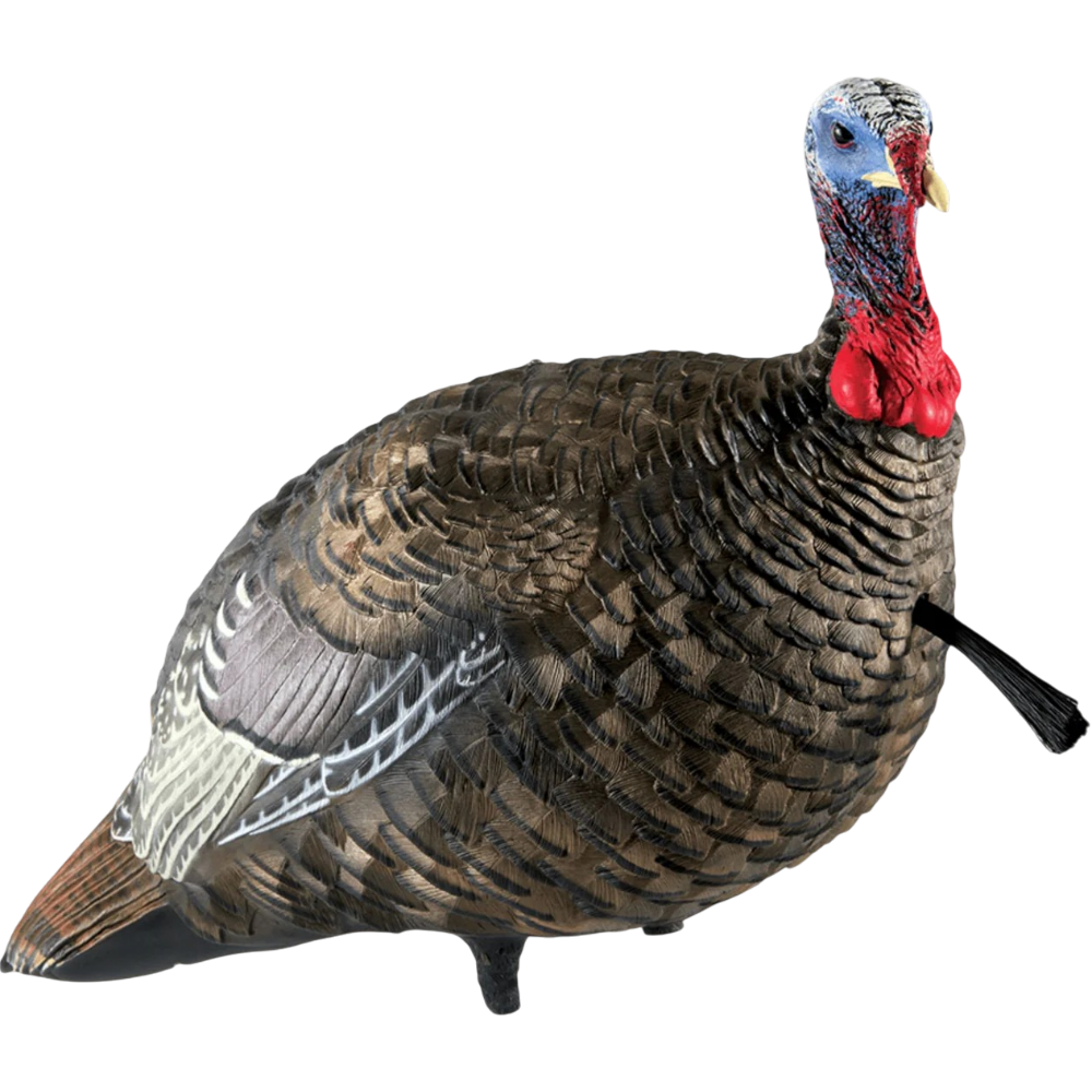 Appelant De Dindon "LCD Quarter Strut Jake Decoy" Par Avian-X