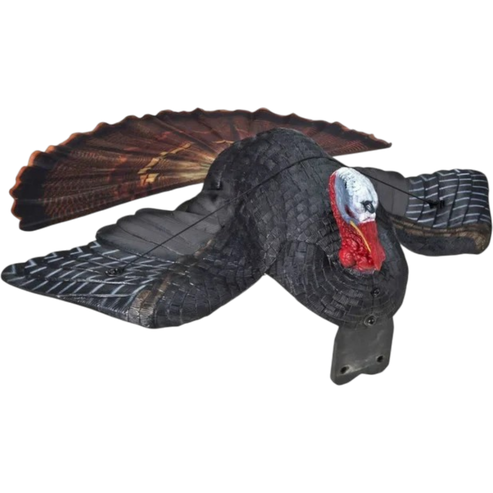 Appelant Dindon Blessé "Dirty bird" Par Primos
