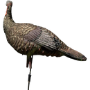 Appelant De Dindon  "LCD Lookout Hen" Par Avian-X
