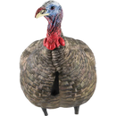 Appelant De Dindon "LCD Quarter Strut Jake Decoy" Par Avian-X