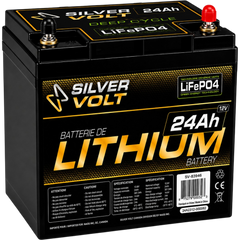 Batterie Au Lithium Rechargeable 