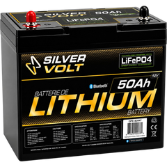Batterie Au Lithium Rechargeable 
