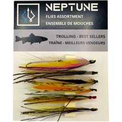 Ensemble De Mouches Pour La Traîne 