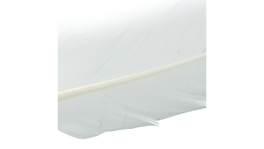 Plumes de dinde par Shor Fishing