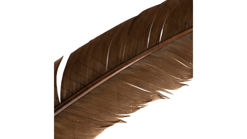 Plumes de dinde par Shor Fishing