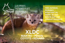LEURRES FORGET : LEURRES INTENSES ET DURABLES XLDC