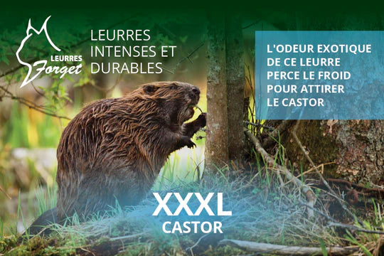 Leurre ''XXXL'' pour castor 120ml par Leurres Forget