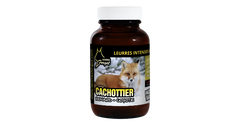 Leurres intenses et durables 