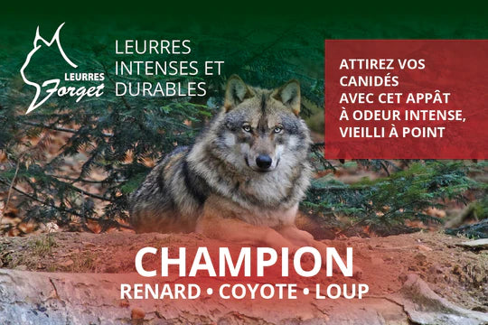 Appât à canidé ''Champion'' 16oz  par Leurres Forget