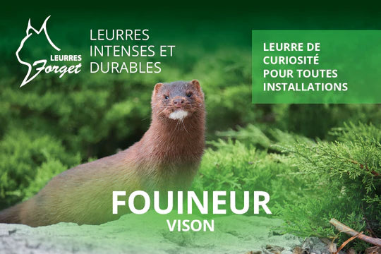 Leurre ''Fouineur'' pour vison 120ml par Leurres Forget