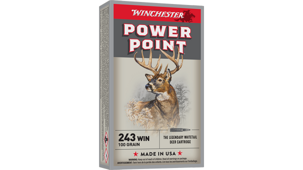 Munitions PowerPoint 243WIN Par Winchester