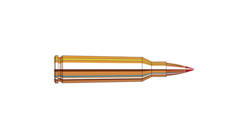 Munitions Superformance Varmint 223 REM 53 gr. V-Max par Hornady