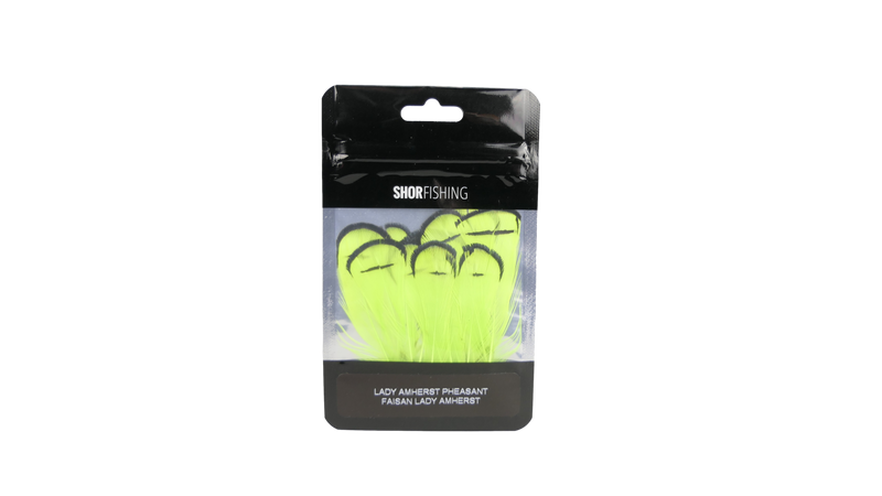 Collerettes de faisan Lady Amherst par Shor Fishing