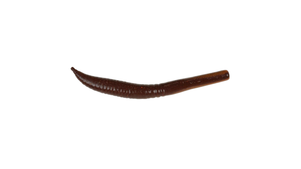 Gulp Killer Crawler 3" par Berkley