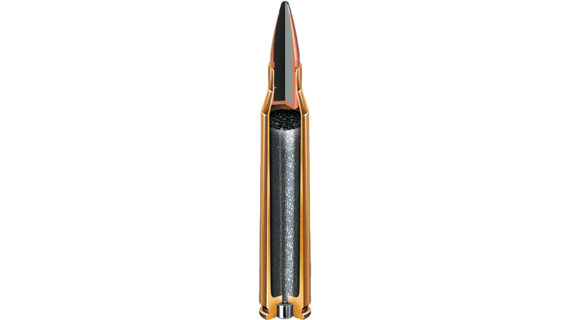 Munitions Hornady Custom 308 WIN 165 gr. ETX