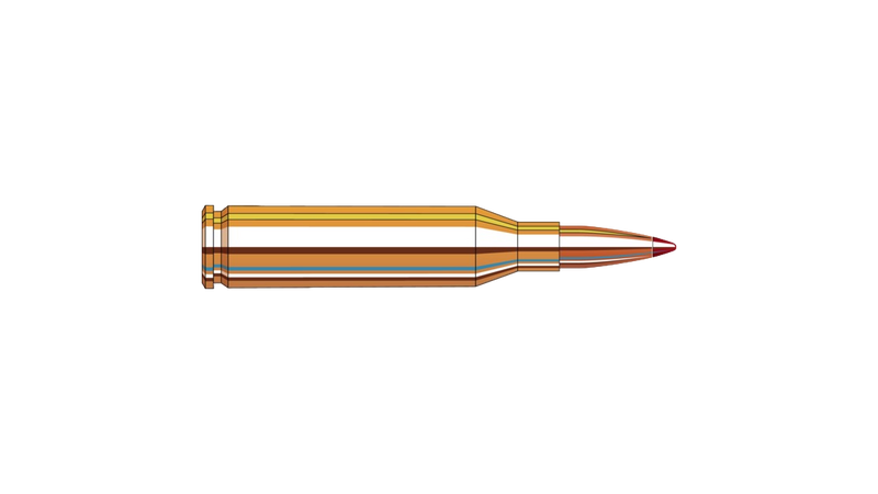 Munitions Hornady Precision Hunter cal. 243 WIN 90 gr. ELDX