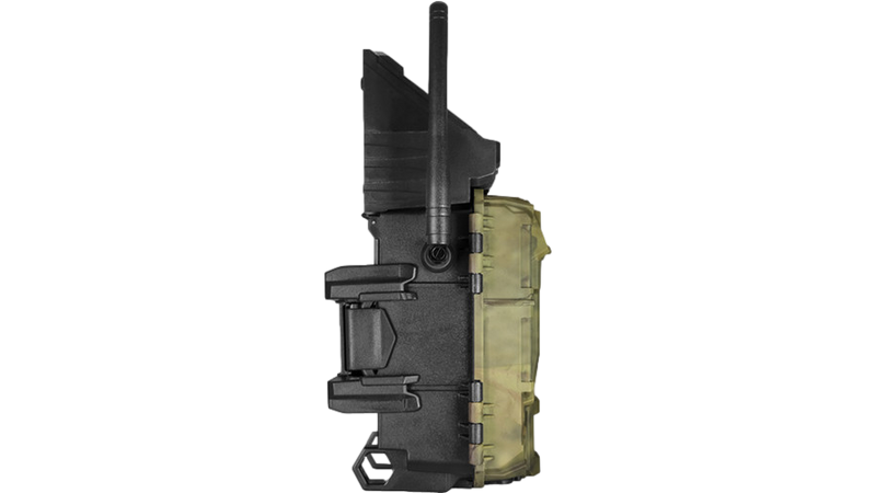 Caméra de détection Spypoint Link-S