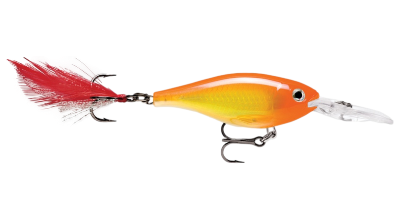 X-Rap Shad de Rapala
