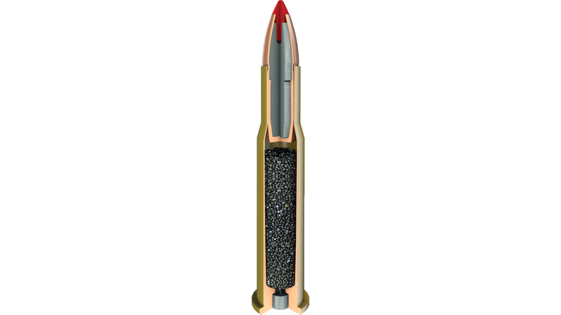 Munitions Hornady LEVER EVOLUTION 30-30 WIN 160 gr. FTX
