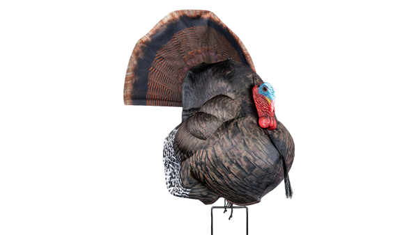 Appelants de dindon Photoform Strutter Turkey de Primos
