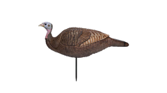 Appelants de dindon Lil'Gobbstopper Hen par Primos