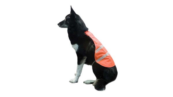 Dossard pour chien Backwoods