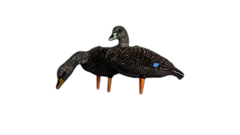 Appelants canard noir de SkyFall Decoys (Paq. de 6)