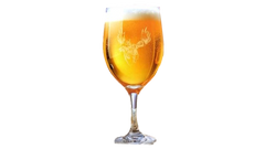 Ensemble de 4 coupes à vin orignal