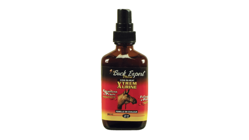 Urine orignal XTreme femelle en chaleur