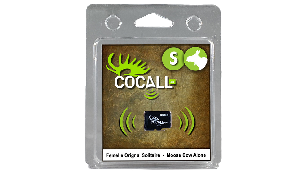 Carte de sons Orignal Femelle Solitaire pour Cocall