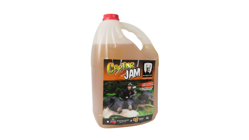 Jam aux beignes pour ours
