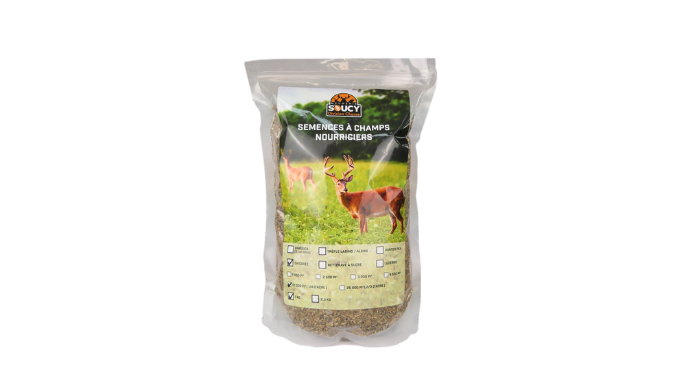 Seeds for deer food plot (chicory)
