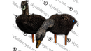 Appelants canard noir de SkyFall Decoys (Paq. de 6)