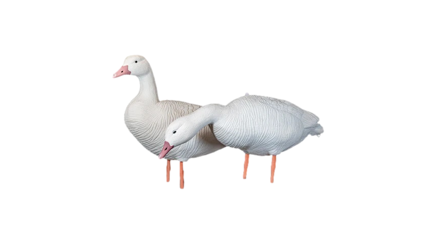 Appelants Oies Blanches de SkyFall Decoys (Paq. de 12)