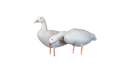 Appelants Oies Blanches de SkyFall Decoys (Paq. de 12)