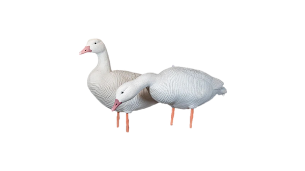Appelants Oies Blanches de SkyFall Decoys (Paq. de 12)