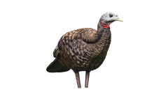 Appelants à dindon LCD Breeder Hen par Avian-X