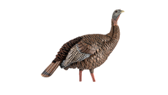 Appelants de dindon HDR Hen de Avian-X