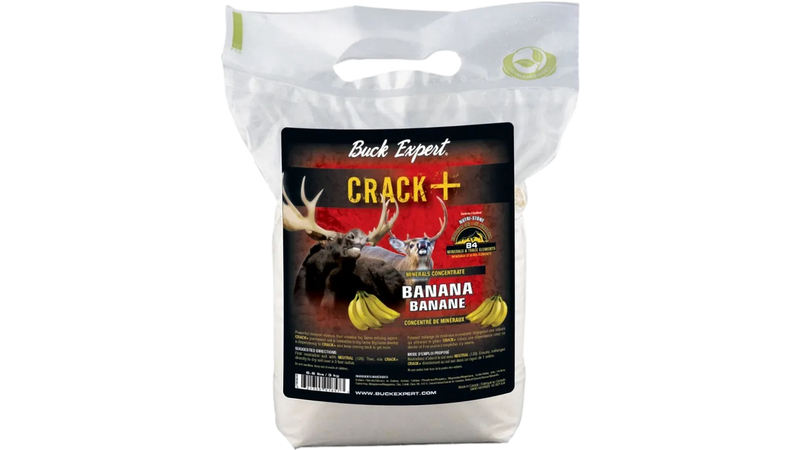 Crack+ orignal de Buck Expert
