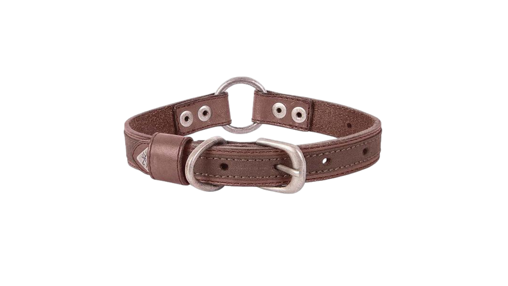 Collier en cuir pour chien Browning