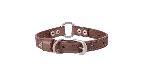 Collier en cuir pour chien Browning